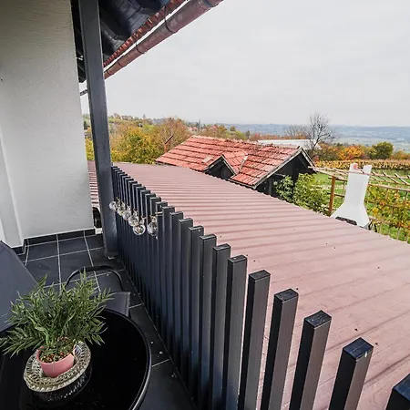 Apartament Trta With Vineyard View