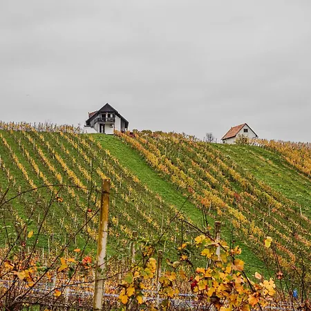 Apartament Trta With Vineyard View