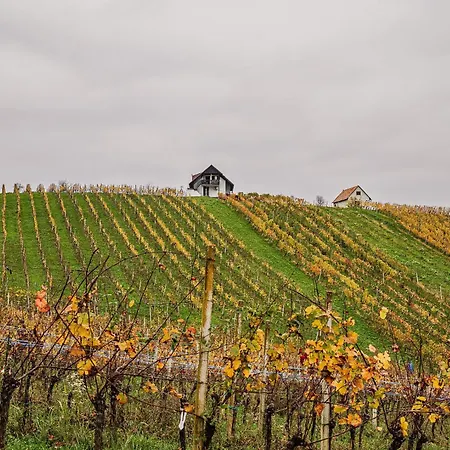 Trta With Vineyard View * Bistrica ob Sotli