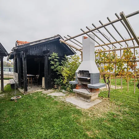 Trta With Vineyard View