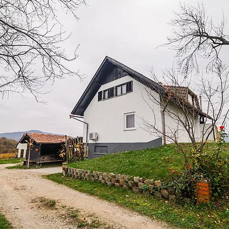 Appartement Trta With Vineyard View