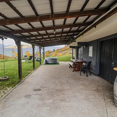 Trta With Vineyard View