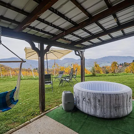 Trta With Vineyard View Apartament