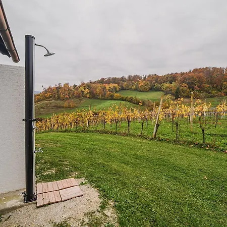 Trta With Vineyard View Lejlighed *