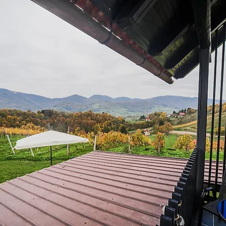 Apartament Trta With Vineyard View Bistrica ob Sotli