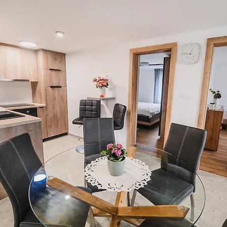 Apartament Trta With Vineyard View Bistrica ob Sotli