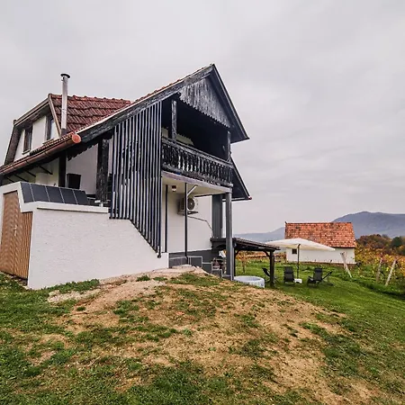 Trta With Vineyard View