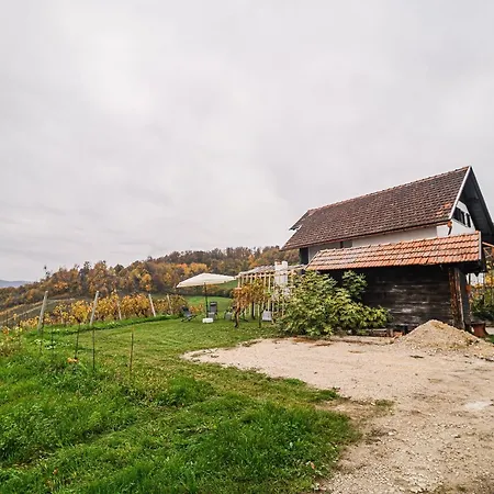 Trta With Vineyard View Apartament