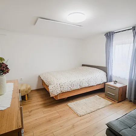 Trta With Vineyard View Bistrica ob Sotli