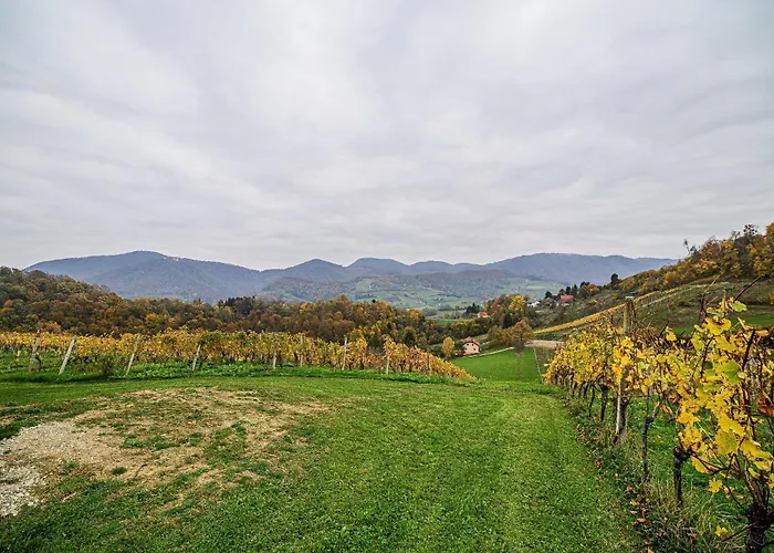 Trta With Vineyard View شقة Bistrica ob Sotli