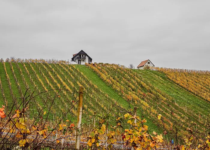 شقة Trta With Vineyard View