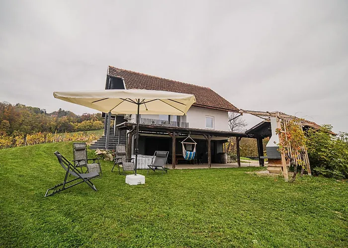 Trta With Vineyard View Bistrica ob Sotli