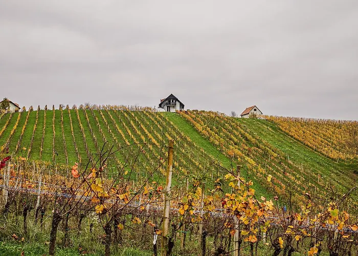 Trta With Vineyard View * Bistrica ob Sotli