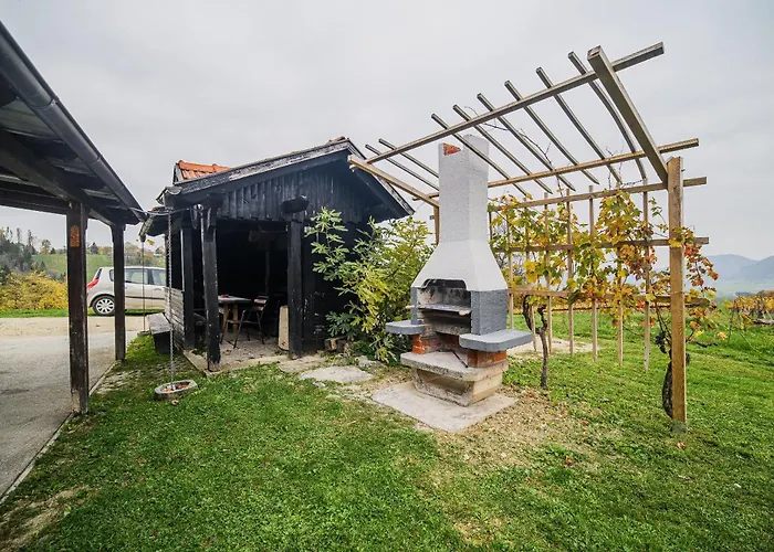 Trta With Vineyard View