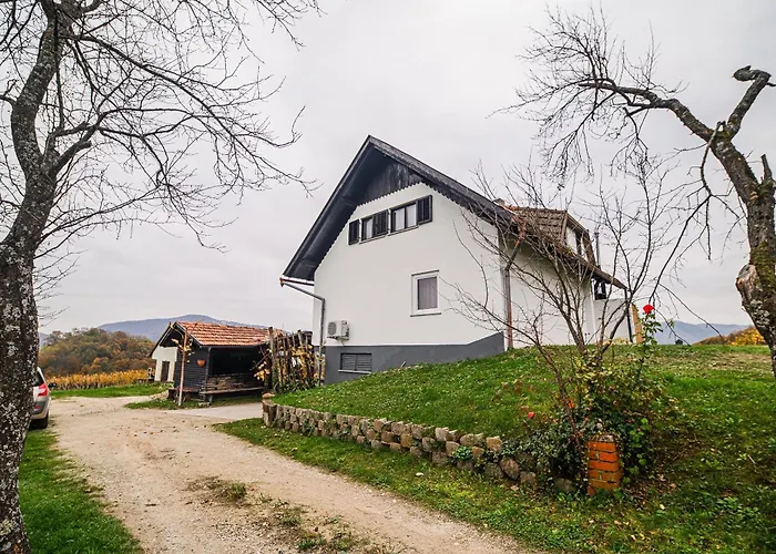 Διαμέρισμα Trta With Vineyard View