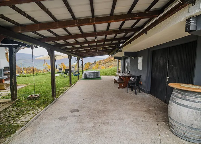 Trta With Vineyard View