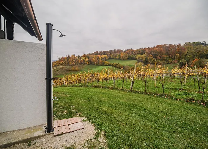 Trta With Vineyard View Διαμέρισμα *