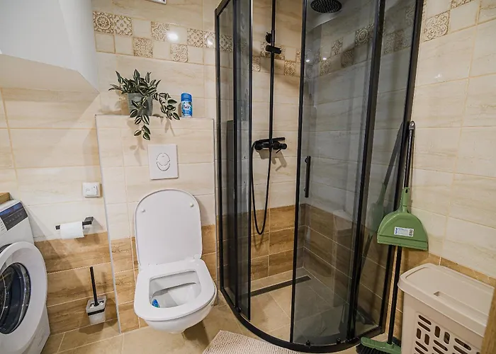 Trta With Vineyard View شقة Bistrica ob Sotli