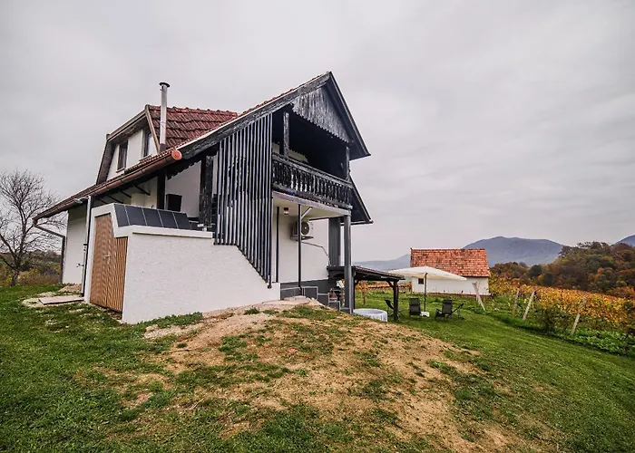 Trta With Vineyard View