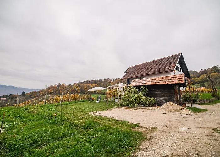 Trta With Vineyard View Διαμέρισμα